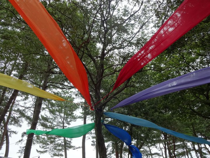 ROCK IN JAPAN FESTIVAL 2013 写真22