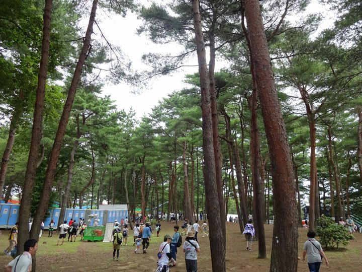 ROCK IN JAPAN FESTIVAL 2013 写真32