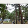 ROCK IN JAPAN FESTIVAL 2013 写真33