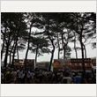 ROCK IN JAPAN FESTIVAL 2013 写真65