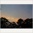 ROCK IN JAPAN FESTIVAL 2013 写真93