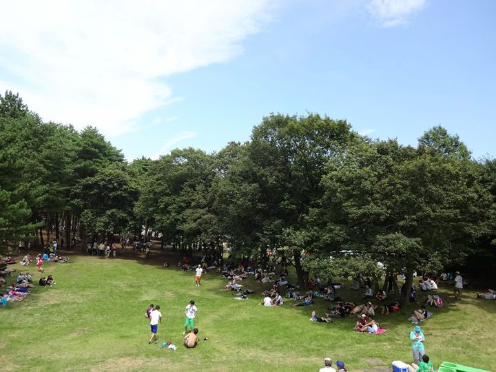 ROCK IN JAPAN FESTIVAL 2013 写真148