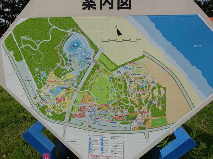 ROCK IN JAPAN FESTIVAL 2013 写真162