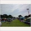 ROCK IN JAPAN FESTIVAL 2013 写真175