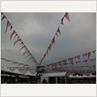 ROCK IN JAPAN FESTIVAL 2013 写真191
