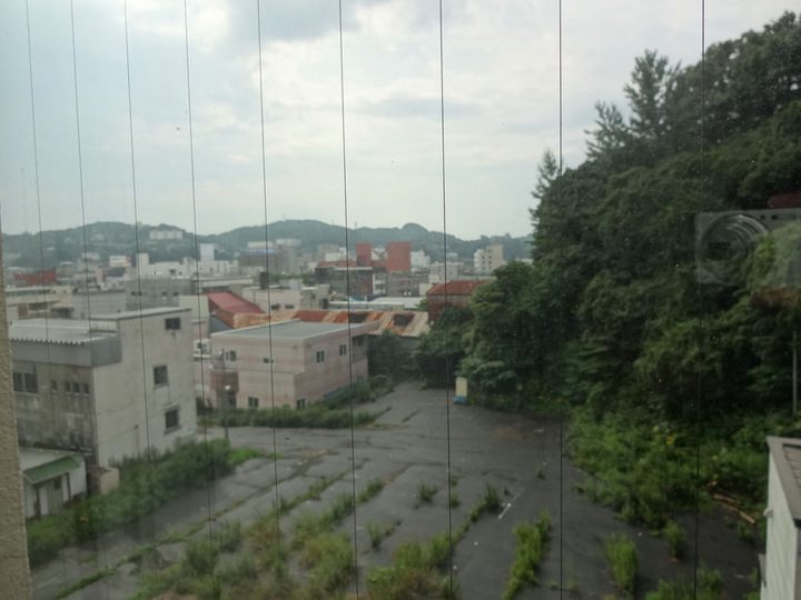 RISING SUN ROCK FESTIVAL 2013 写真5