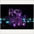 RISING SUN ROCK FESTIVAL 2013 写真70