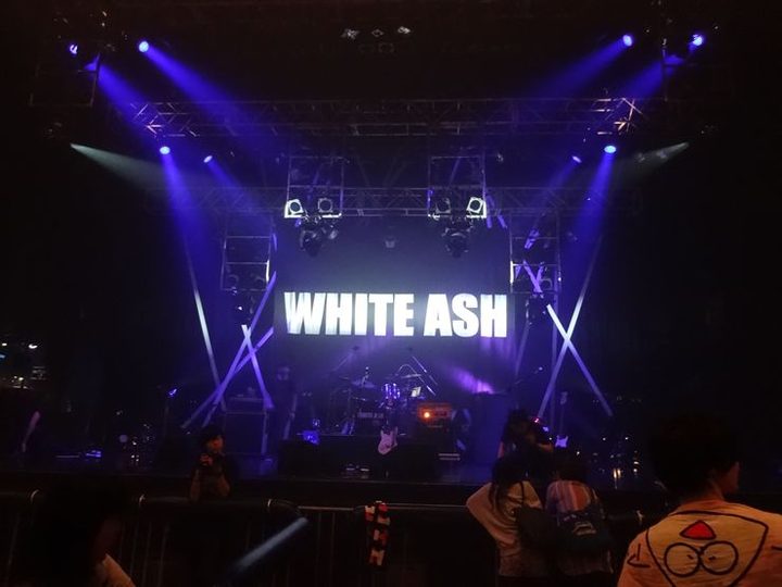 WHITE ASH ライブ
