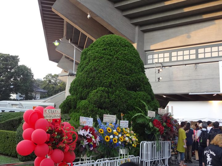 Char ライブ 写真10