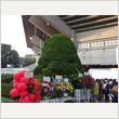Char ライブ 写真11