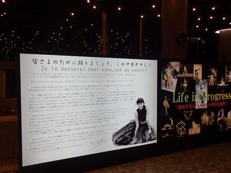 シルヴィ・ギエム レポート 写真6