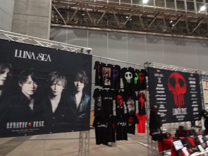 LUNATIC FEST. レポート 写真19
