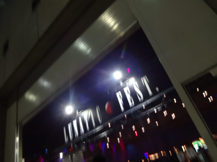 LUNATIC FEST. レポート 写真31
