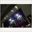 LUNATIC FEST. レポート 写真32