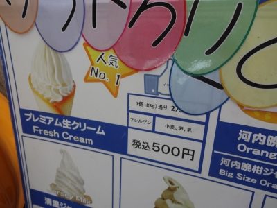 長渕剛 富士山麓ライブ 写真40