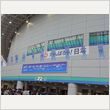 ポール・マッカートニー 東京ドーム公演 4月23日 写真28