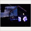 ポール・マッカートニー 東京ドーム公演 4月27日 写真22