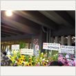 サザンオールスターズ 日本武道館公演 写真15