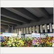 サザンオールスターズ 日本武道館公演 写真17