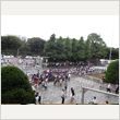 サザンオールスターズ 日本武道館公演 写真25