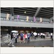 サザンオールスターズ 日本武道館公演 写真27