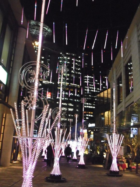 スジナシ レポート 写真5