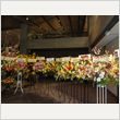長渕剛 ライブ 写真16