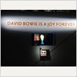 DAVID BOWIE is JAPAN